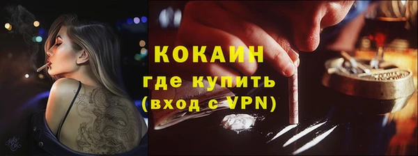 гидра Арсеньев