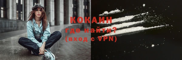 гидра Арсеньев