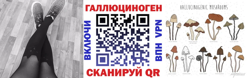 Купить  Качканар  Псилоцибиновые грибы GOLDEN TEACHER 